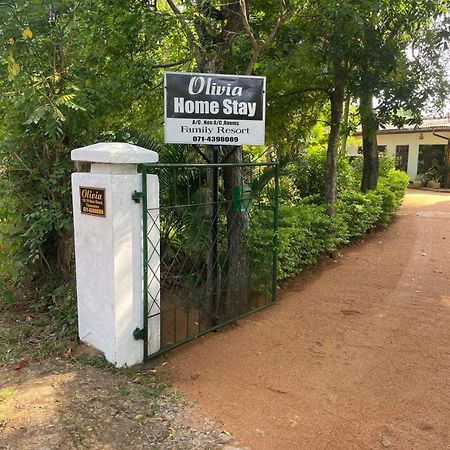 Olivia Homestay Anuradhapura Dış mekan fotoğraf
