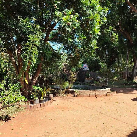 Olivia Homestay Anuradhapura Dış mekan fotoğraf