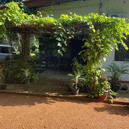 Olivia Homestay Anuradhapura Dış mekan fotoğraf