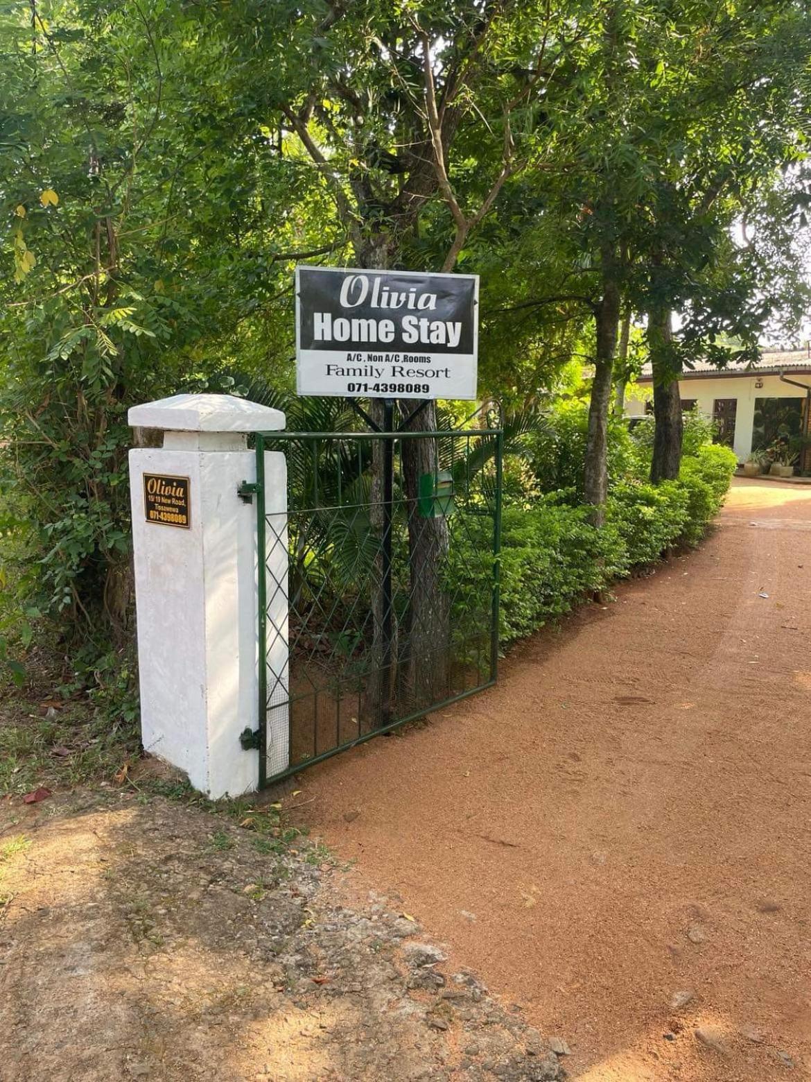 Olivia Homestay Anuradhapura Dış mekan fotoğraf