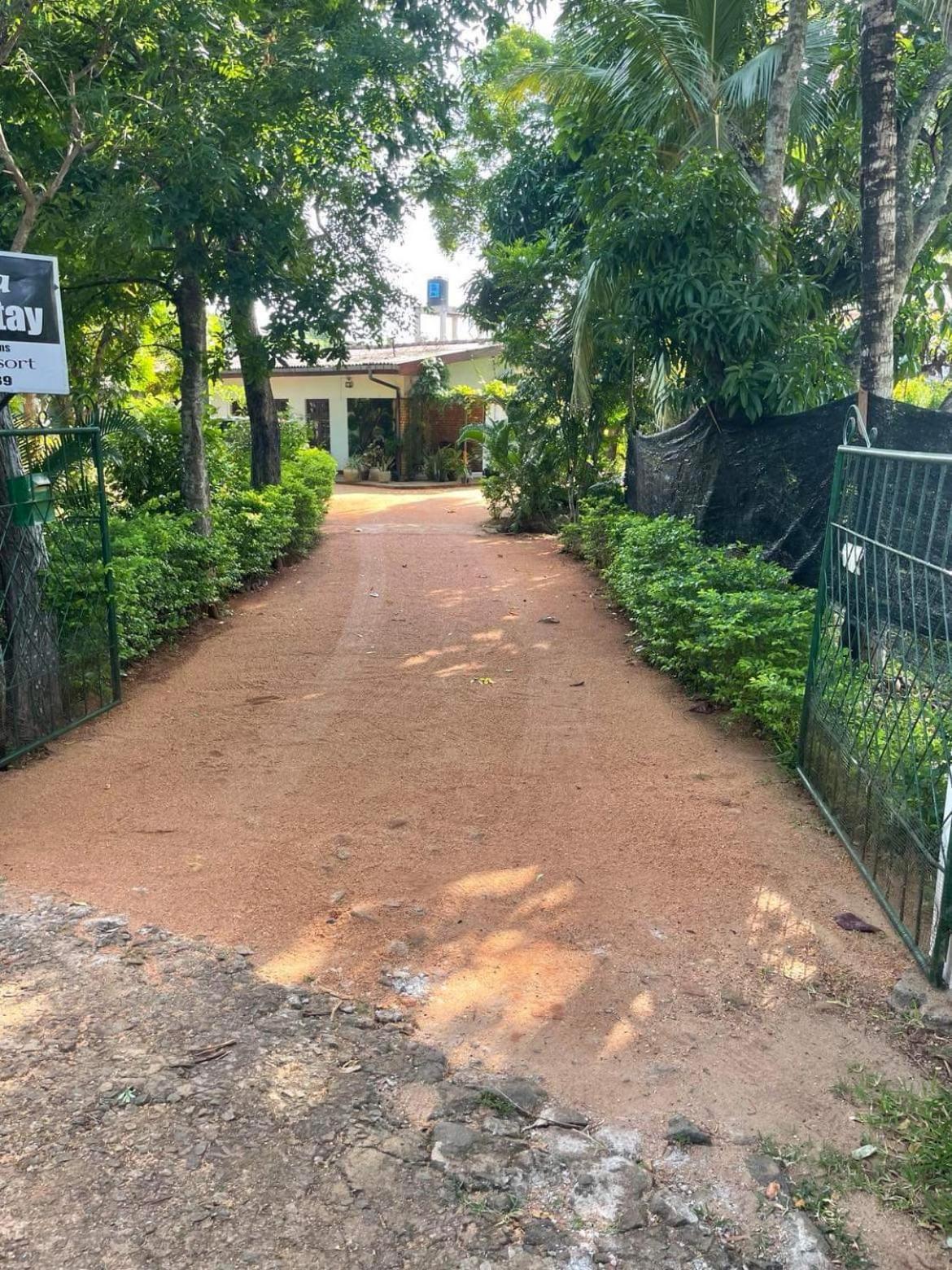 Olivia Homestay Anuradhapura Dış mekan fotoğraf