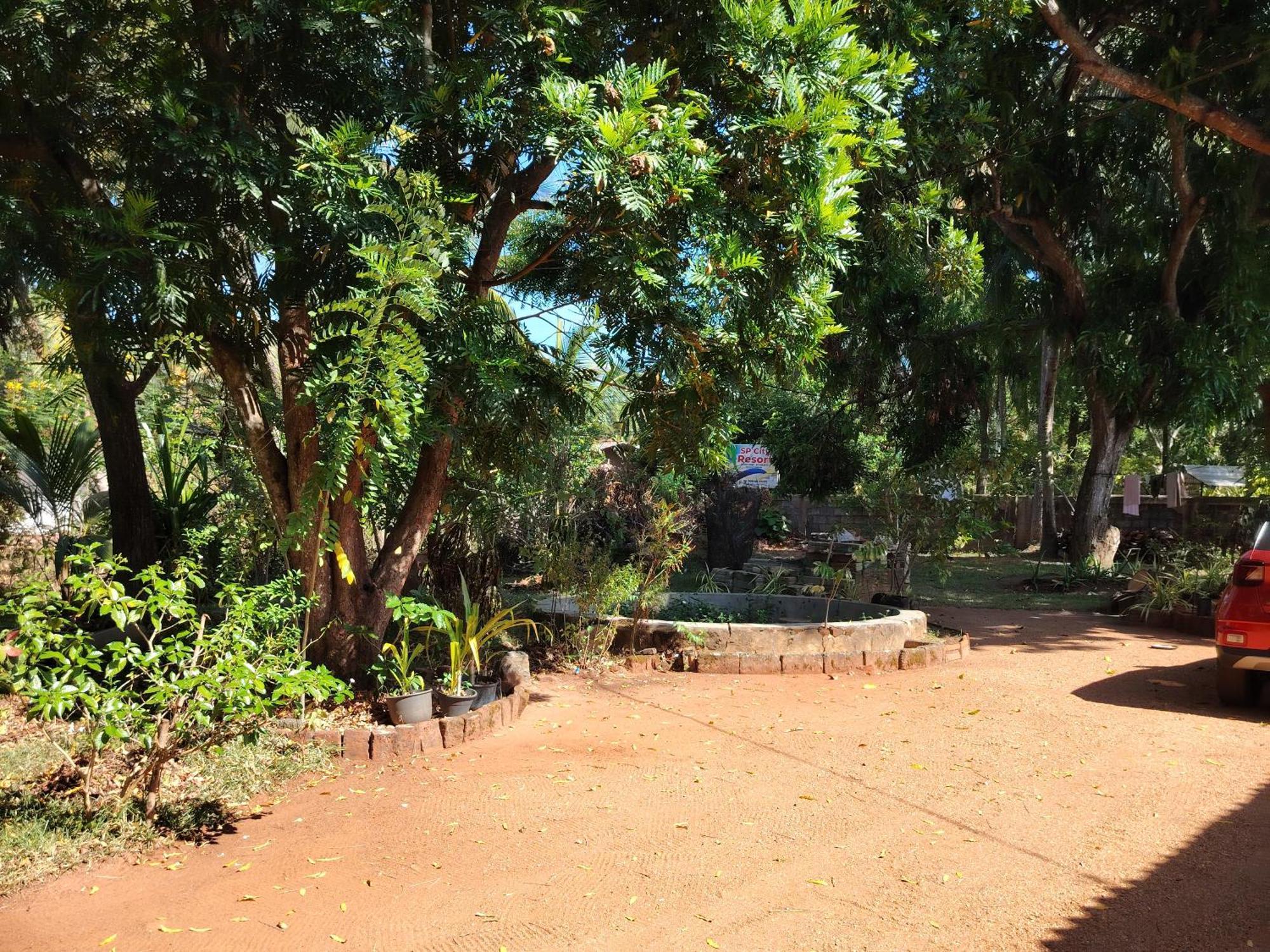 Olivia Homestay Anuradhapura Dış mekan fotoğraf