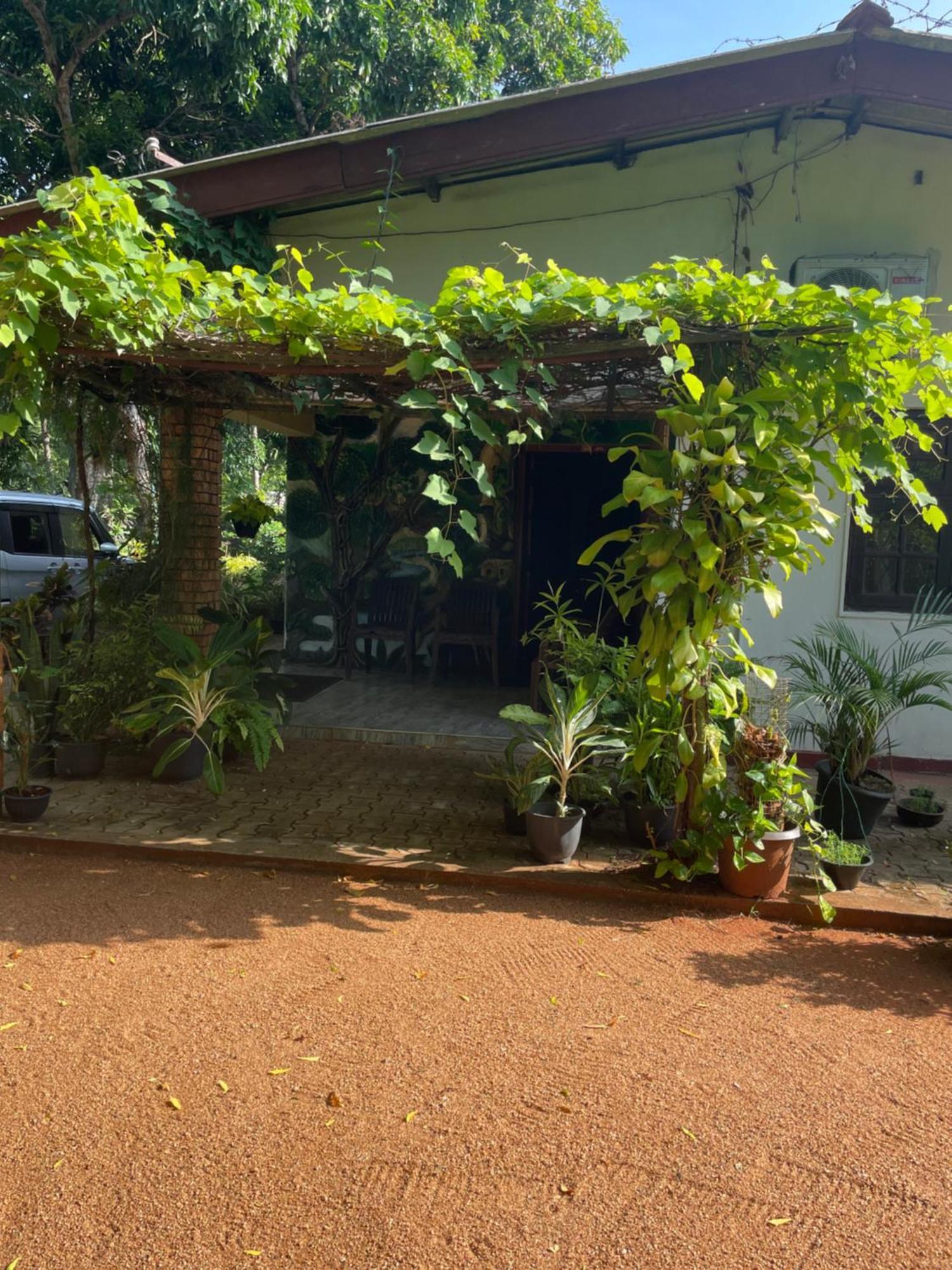 Olivia Homestay Anuradhapura Dış mekan fotoğraf