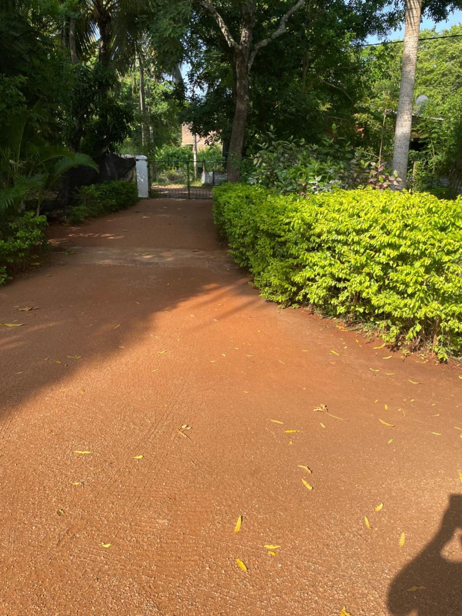 Olivia Homestay Anuradhapura Dış mekan fotoğraf