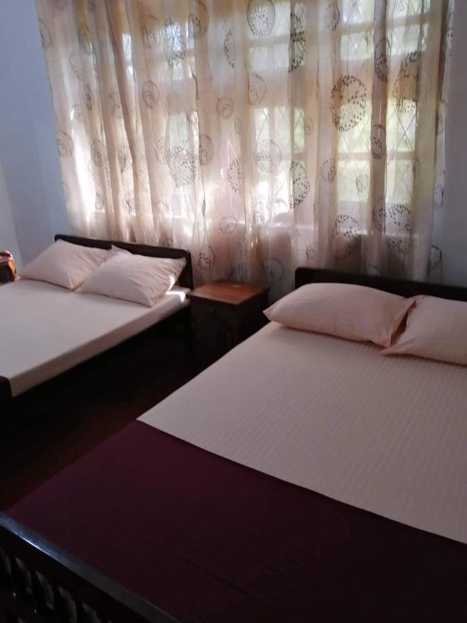 Olivia Homestay Anuradhapura Dış mekan fotoğraf
